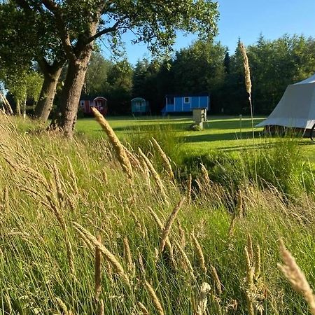 Pipowagens Bij Pannenkoekenrestaurant & Camping De Koppenjan 'Een Uniek Verblijf Met Kinderspeelboerderij' Jubbega-Schurega Exteriér fotografie