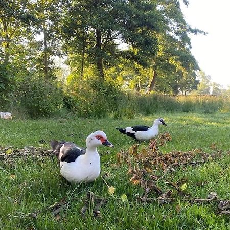 Pipowagens Bij Pannenkoekenrestaurant & Camping De Koppenjan 'Een Uniek Verblijf Met Kinderspeelboerderij' Jubbega-Schurega Exteriér fotografie