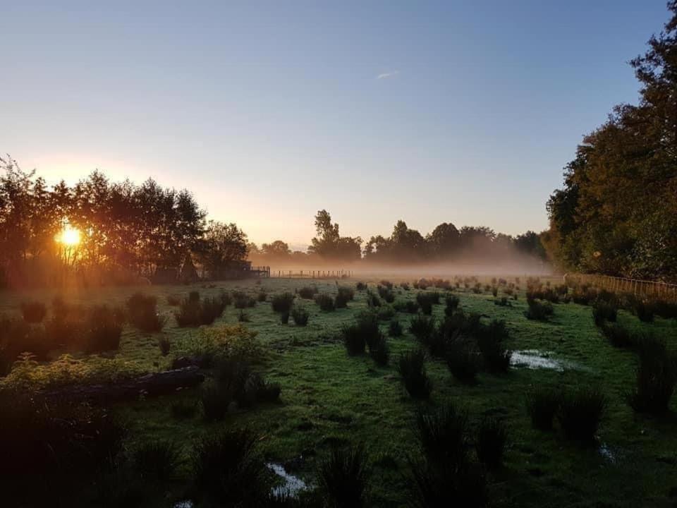 Pipowagens Bij Pannenkoekenrestaurant & Camping De Koppenjan 'Een Uniek Verblijf Met Kinderspeelboerderij' Jubbega-Schurega Exteriér fotografie