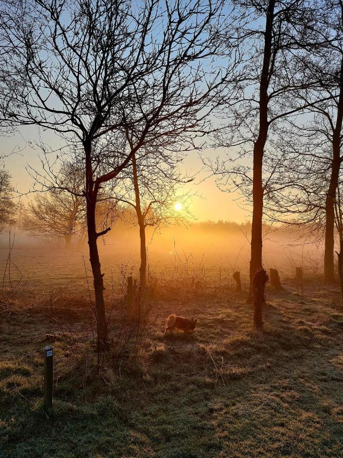 Pipowagens Bij Pannenkoekenrestaurant & Camping De Koppenjan 'Een Uniek Verblijf Met Kinderspeelboerderij' Jubbega-Schurega Exteriér fotografie
