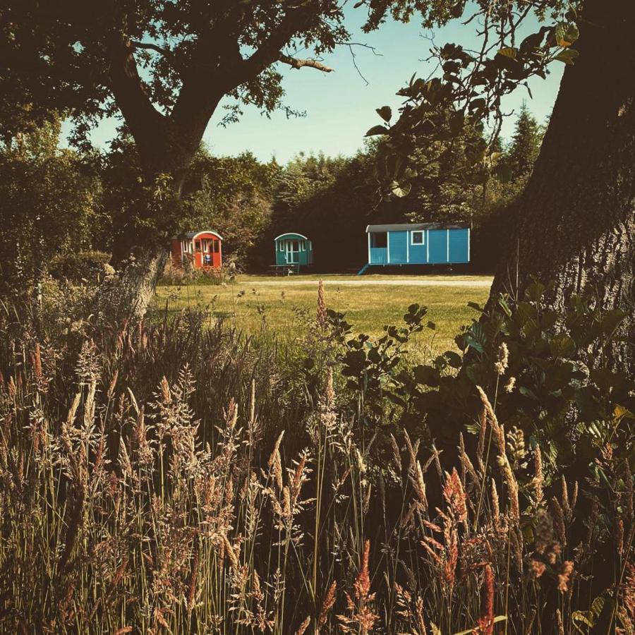 Pipowagens Bij Pannenkoekenrestaurant & Camping De Koppenjan 'Een Uniek Verblijf Met Kinderspeelboerderij' Jubbega-Schurega Exteriér fotografie