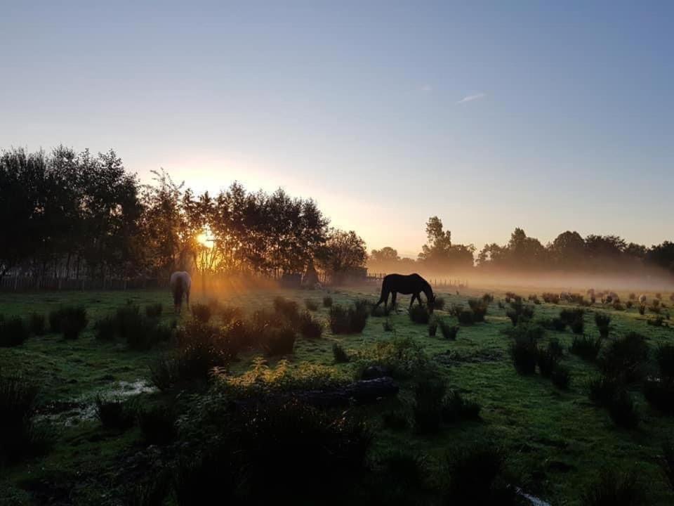 Pipowagens Bij Pannenkoekenrestaurant & Camping De Koppenjan 'Een Uniek Verblijf Met Kinderspeelboerderij' Jubbega-Schurega Exteriér fotografie