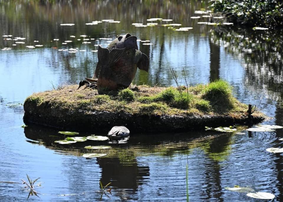 Pipowagens Bij Pannenkoekenrestaurant & Camping De Koppenjan 'Een Uniek Verblijf Met Kinderspeelboerderij' Jubbega-Schurega Exteriér fotografie