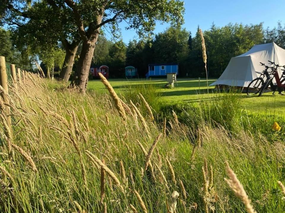 Pipowagens Bij Pannenkoekenrestaurant & Camping De Koppenjan 'Een Uniek Verblijf Met Kinderspeelboerderij' Jubbega-Schurega Exteriér fotografie